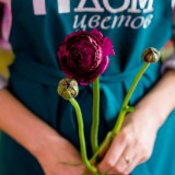 EME_1369